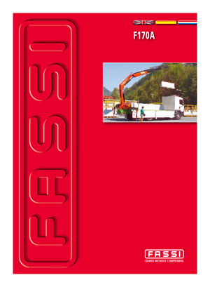 हाइड्रोलिक लोडिंग क्रेन Fassi F 170 AC 22