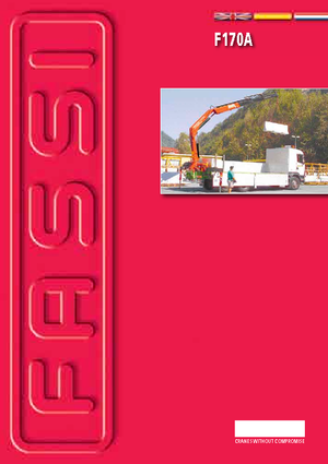 हाइड्रोलिक लोडिंग क्रेन Fassi F 170 AC 25