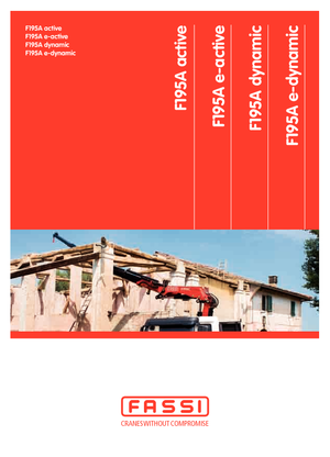 हाइड्रोलिक लोडिंग क्रेन Fassi F 195 A 2.24 dynamic