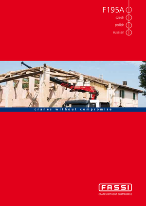हाइड्रोलिक लोडिंग क्रेन Fassi F 195 A 24