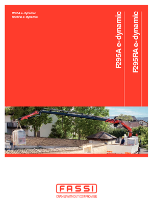 हाइड्रोलिक लोडिंग क्रेन Fassi F 295 A 2.28 e-dynamic