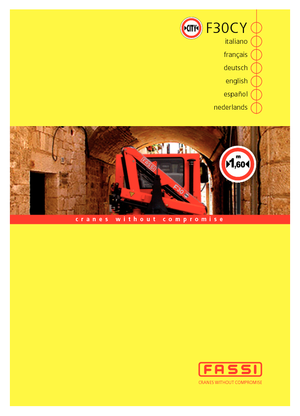 हाइड्रोलिक लोडिंग क्रेन Fassi F 30 CY 21