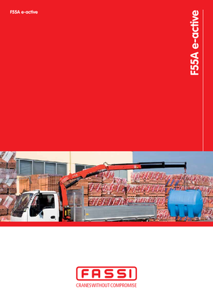 हाइड्रोलिक लोडिंग क्रेन Fassi F 55 A 0.22 e-active