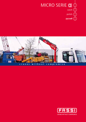 हाइड्रोलिक लोडिंग क्रेन Fassi M 20 A 11 Teleskop