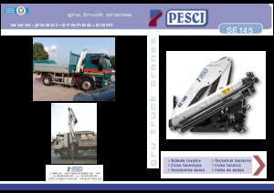 हाइड्रोलिक लोडिंग क्रेन Pesci SE 145 H2B3