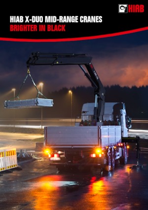 हाइड्रोलिक लोडिंग क्रेन Hiab X-Duo 218 B-3 