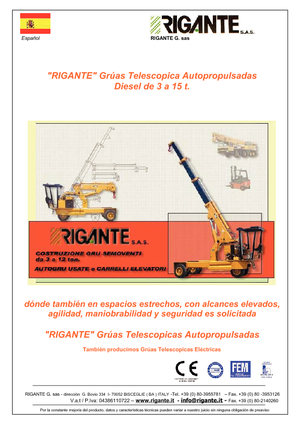 इंडस्ट्रियल मोबाइल क्रेन Rigante GR 70
