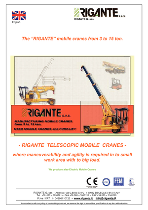 इंडस्ट्रियल मोबाइल क्रेन Rigante GR 40