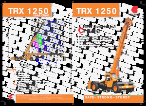इंडस्ट्रियल मोबाइल क्रेन Escorts TRX 1250