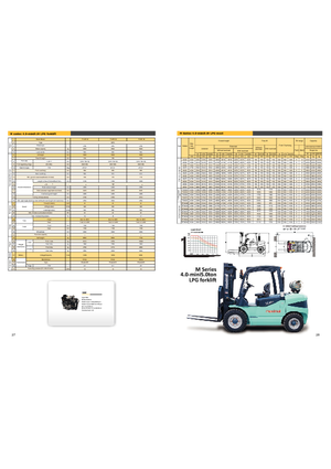 एलपीजी फोर्कलिफ्ट Maximal FL 50 T-M1WE3