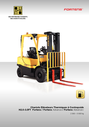 एलपीजी फोर्कलिफ्ट Hyster H 3.0 FT
