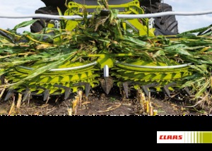 कंबाइन हार्वेस्टर मेज़ हेडर Claas Orbis 600 