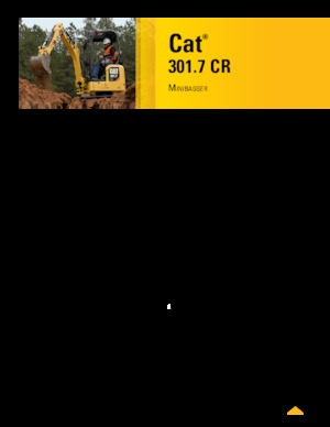 मिनी एक्सकेवेटर Caterpillar 301.7 CR