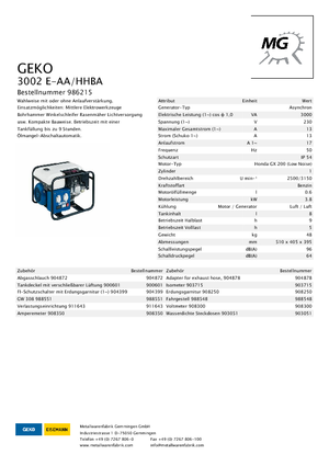 गैसोलीन पावर जनरेटर Geko ® 3002 E-AA/HHBA*