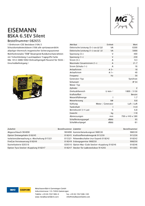 गैसोलीन पावर जनरेटर Eisemann BSKA 6.5 EV