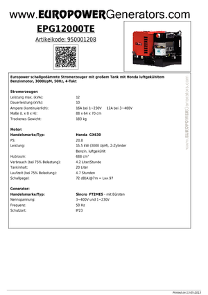 गैसोलीन पावर जनरेटर Europower EPG12000TE (S)
