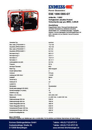 गैसोलीन पावर जनरेटर Endress ESE 1006 DBS-GT