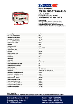 गैसोलीन पावर जनरेटर Endress ESE 606 DHG-GT ES Duplex