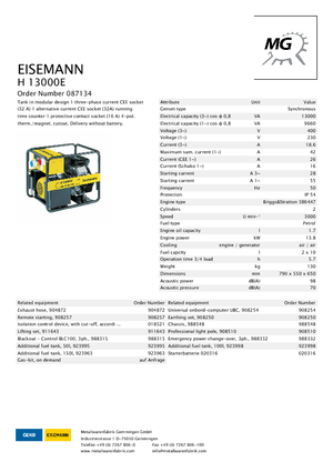 गैसोलीन पावर जनरेटर Eisemann H 13000 E