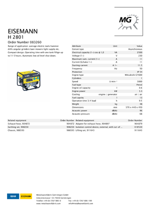 गैसोलीन पावर जनरेटर Eisemann H 2801