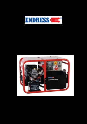गैसोलीन पावर जनरेटर Endress ESE 1006 DBS GT ES