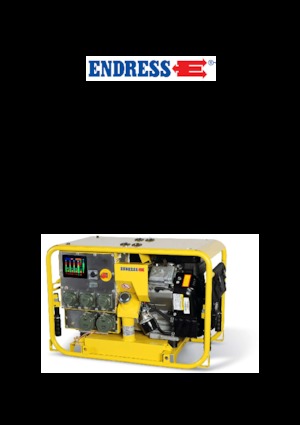गैसोलीन पावर जनरेटर Endress ESE 1304 DBG ES  DIN