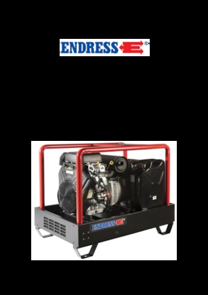 गैसोलीन पावर जनरेटर Endress ESE 2006 DBS-GT ES 