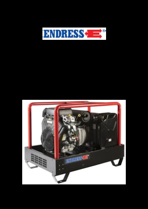 गैसोलीन पावर जनरेटर Endress ESE 2006 DBS-GT ES 