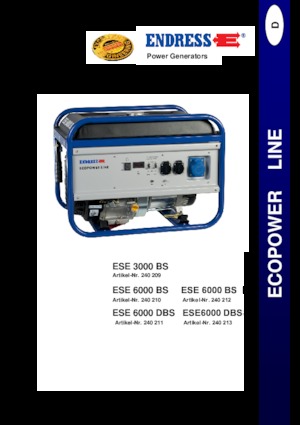 गैसोलीन पावर जनरेटर Endress ESE 3000 BS
