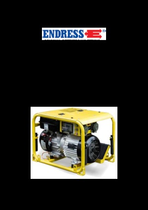 गैसोलीन पावर जनरेटर Endress ESE 304 HG DIN