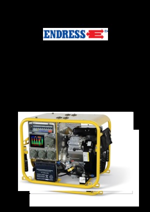 गैसोलीन पावर जनरेटर Endress ESE 604 DBG DIN