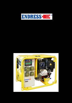 गैसोलीन पावर जनरेटर Endress ESE 604 DHG DIN