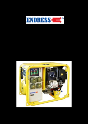 गैसोलीन पावर जनरेटर Endress ESE 604 DHG ES DIN