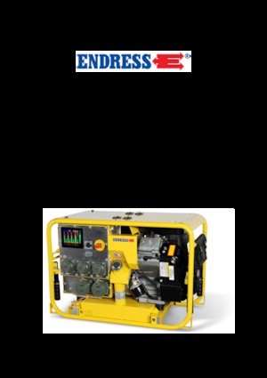 गैसोलीन पावर जनरेटर Endress ESE 904 DBG ES DIN