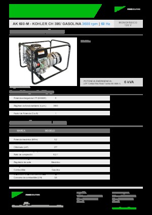 गैसोलीन पावर जनरेटर INMESOL AK 600-M