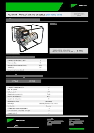गैसोलीन पावर जनरेटर INMESOL AK 600-M