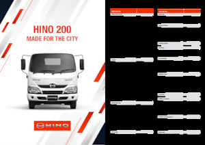 रिजिड चेसिस Hino 200 310