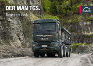 रिजिड चेसिस MAN TGS 26.480