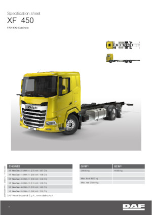 रिजिड चेसिस DAF XF 480 FAN