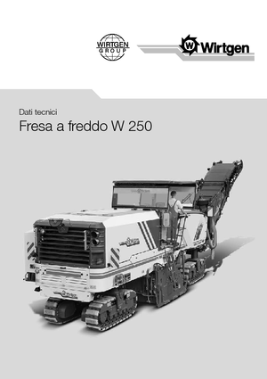कोल्ड मिलिंग मशीन Wirtgen W 250