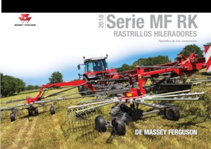 रोटरी रेक Massey Ferguson RK361 DN