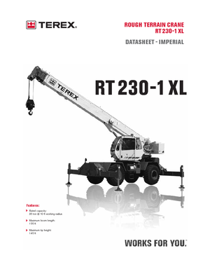 रफ-टेरेन क्रेन Terex Bendini RT 230-1 XL