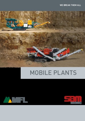 रबल रीसाइक्लिंग प्लांट MFL R-CI 100-100 / T