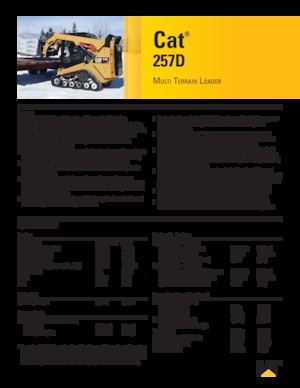 स्किड स्टीयर लोडर Caterpillar 257D