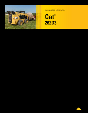 स्किड स्टीयर लोडर Caterpillar 262D Series 3