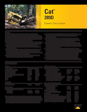 स्किड स्टीयर लोडर Caterpillar 289D