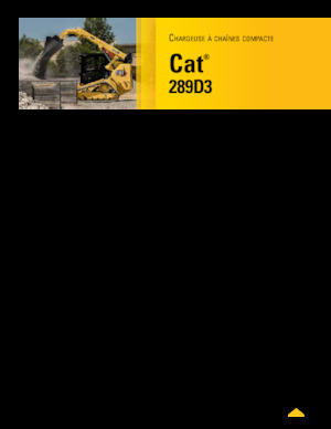 स्किड स्टीयर लोडर Caterpillar 289D Serie 3 Deltalader