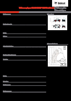 टेलीहैंडलर Bobcat TL43.80HF 135 V