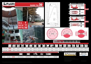 क्रॉलर टेलीस्कोपिक बूम लिफ्ट Palazzani TSJ 39 C