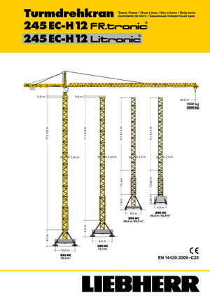 टावर क्रेन - ट्रॉली बूम - टॉप-स्लीविंग Liebherr 245 EC-H 12 Litronic
